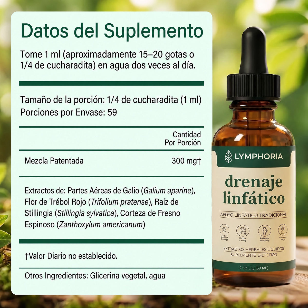 Gotas Lymphoria — Desintoxicación Linfática de Forma Natural